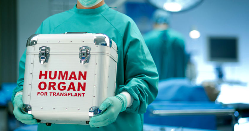 v-niderlandah-vseh-zhitelej-sdelali-donorami-organov-quibbll.com-cover